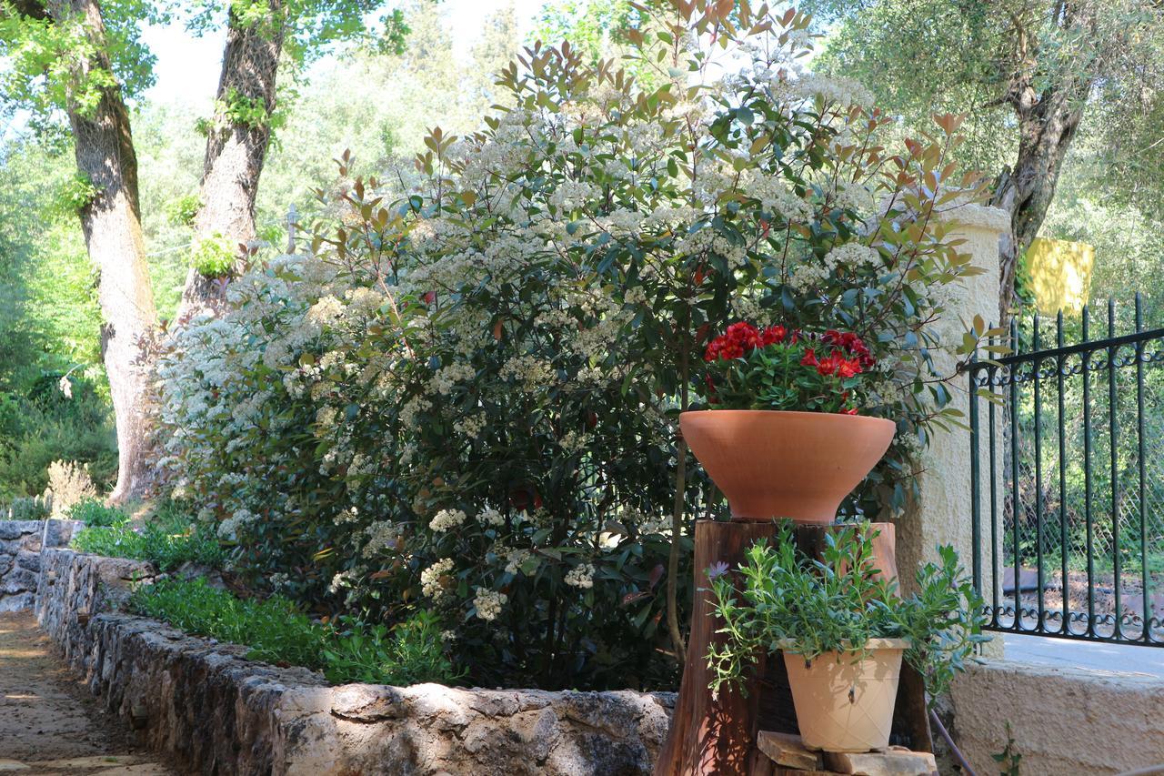 Villa Magia Ypsos Exterior photo